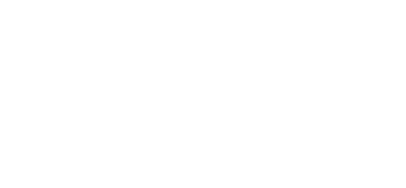 Solidez Hipotecaria fenix