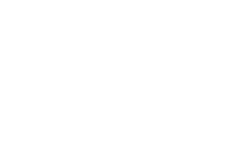 Solidez Hipotecaria Nuevo Horizonte